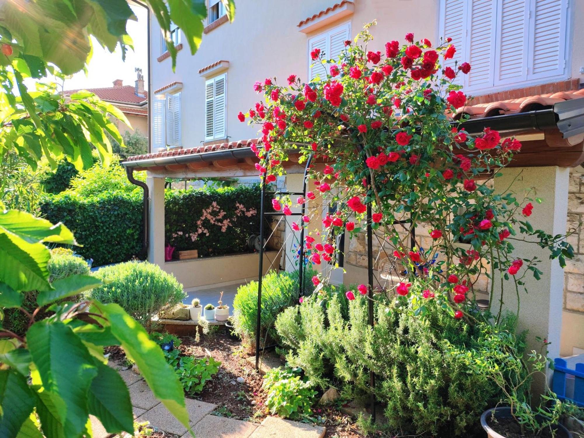 רייקה House Apartment Torretta מראה חיצוני תמונה