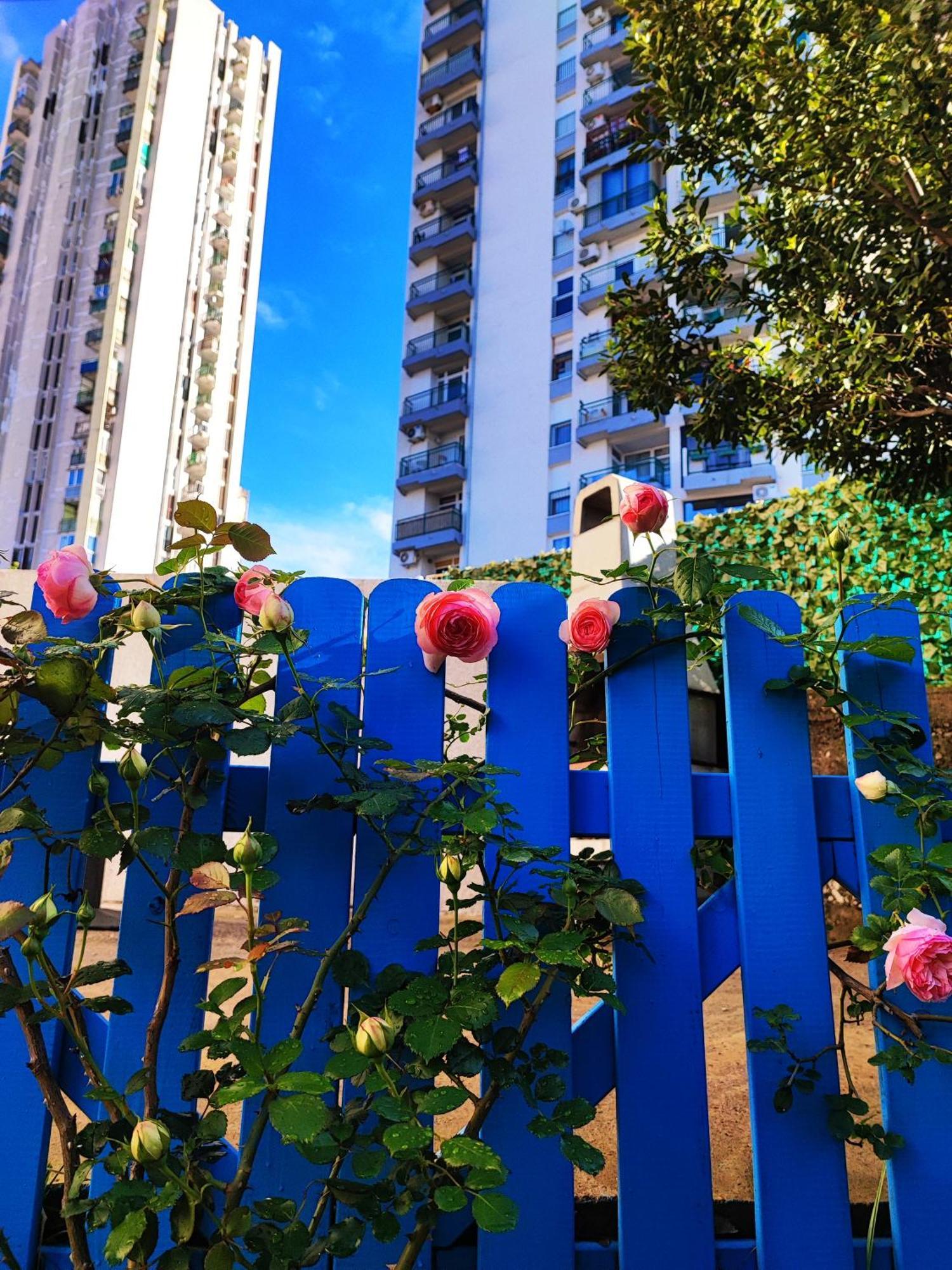 רייקה House Apartment Torretta מראה חיצוני תמונה